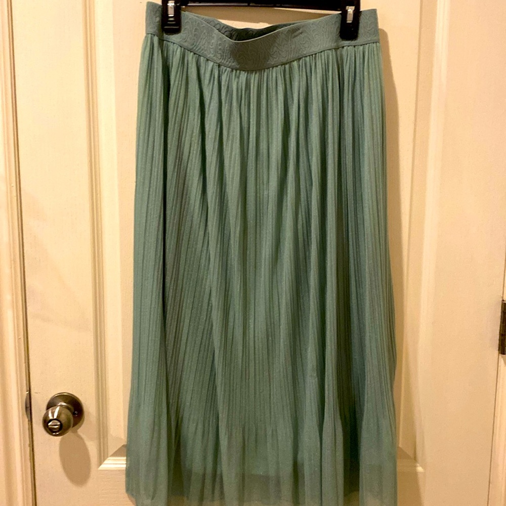 Andi James skirt. Large. Wore  once to a wedding